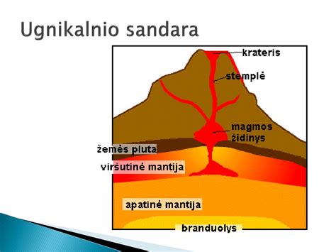 pusašio šarnyro sandaros pjūvio schema