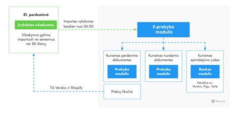 Infografika: LOC veikimo schema
