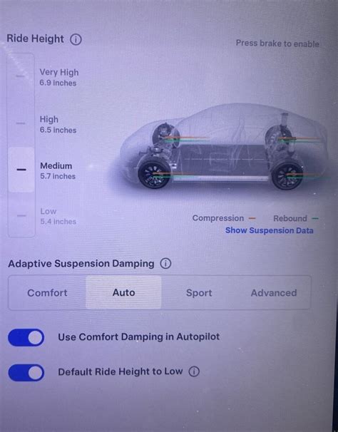 Inforgrafika su Tesla Model S Long Range ir Performance modelių palyginimu
