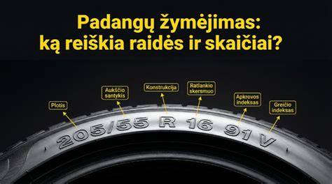 Infografika: padangų žymėjimų santrauka