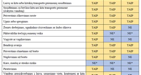 Draudimo sąlygų paaiškinimas
