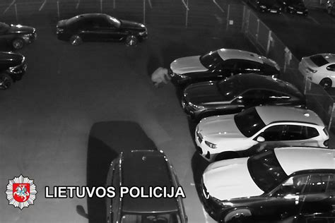 Policijos tyrimo nuotraukos iš pavogtų automobilių susigrąžinimo operacijos