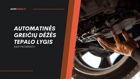 automobilio priežiūros sąnaudų infografika