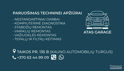 Infografika: autoserviso paslaugos
