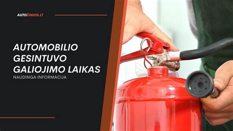 Infografika apie gesintuvų tipus ir jų galiojimo laiką