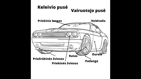 Ilustracija, vaizduojanti įvairias automobilio dalis, kurioms gali prireikti remonto