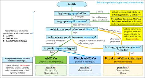 Pavyzdys: Interneto svetainės lankytojų elgsenos analizės schema su slapukų ir pikselių žymų naudojimu