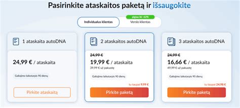 Pavyzdinė VIN ataskaita