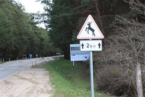Įspėjamasis kelio ženklas apie laukinius gyvūnus ir elnias kelyje
