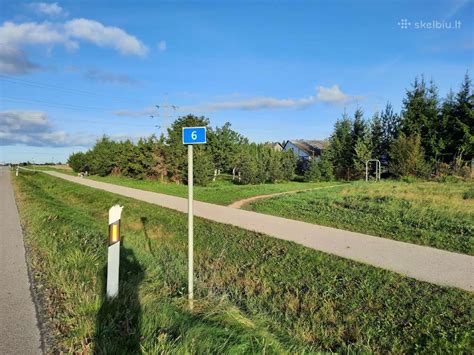 Nuotrauka, vaizduojanti medžius šalia kelio ir galimą pavojų