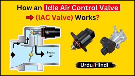 schema, showing the location and function of an idle speed control valve (IACV) in a car engine