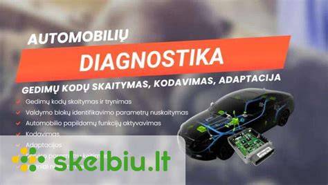 Autodata funkcijų palyginimas: Diagnostika vs Aptarnavimas