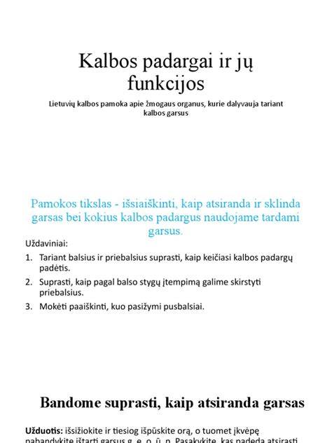 Auto-Data.net mobilioji programa: kalbos ir funkcijos