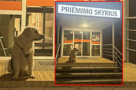 Teminė nuotrauka su buvusiu ligoninės pastatu