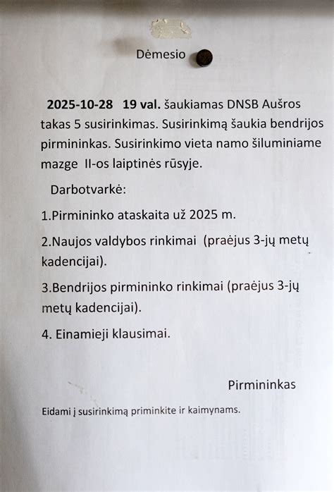 Infografika: Bendrijos pirmininko atsakomybės schema