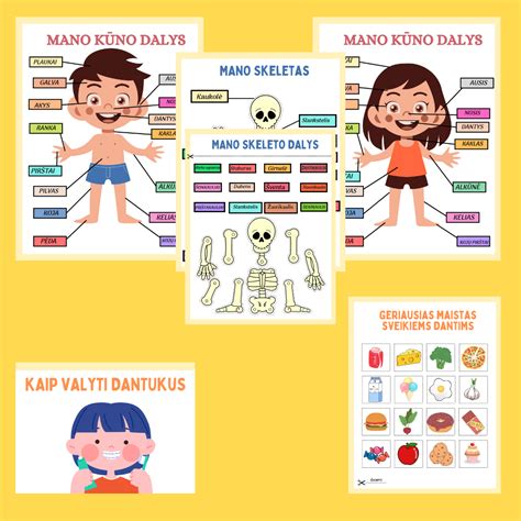 medicininės infografikos su žmogaus kūno dalimis