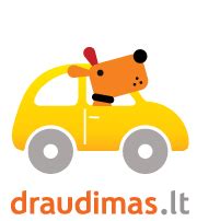Teminė nuotrauka: automobilių draudimas