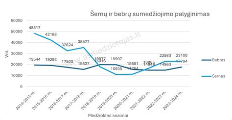 Infografika: Nemokamos vs. mokamos VIN ataskaitos palyginimas