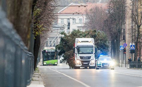 Taksistas veža keleivius automobiliu miesto gatvėmis. Grafikas su Bolt uždarbio statistika