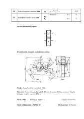 Cilindrinių krumpliaračių pavaros schema šienapjovėje