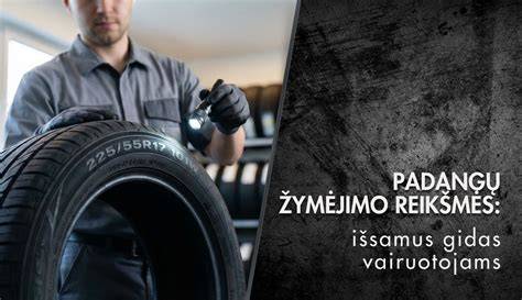 Žiemų ir vasarų padangų skirtumai: ką rinktis?