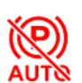 Automatinio stovėjimo stabdžio įjungimo indikatorius