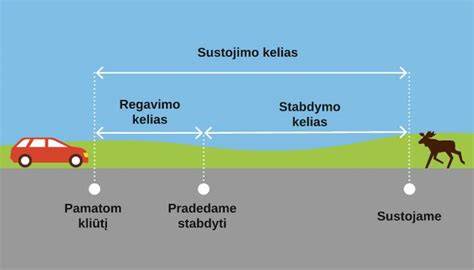 Infografika: Stabdymo kelias ir reakcijos laikas