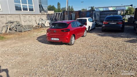 Teminė nuotrauka apie automobilių nuomą