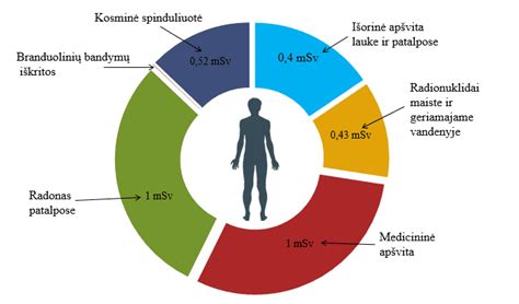 Diagrama, rodanti draudimo kainų priklausomybę nuo įvairių faktorių