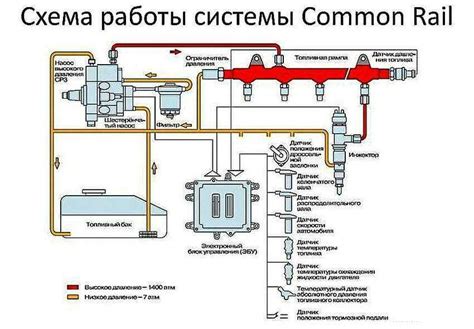 schema: common rail sistemos veikimo principas ir komponentų išdėstymas