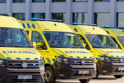 teminė nuotrauka su sužeistu gyvūnu kelyje ir greitosios pagalbos darbuotojais