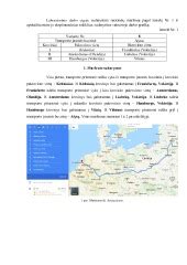 Schema, iliustruojanti GPS navigacijos programėlės sąsają su pagrindinėmis funkcijomis: žemėlapio rodinys, maršruto planavimas, balso paieška, eismo informacija.