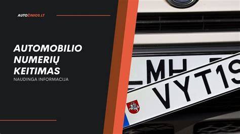 Infografika: Registracijos numerių tipai Lietuvoje ir jų spalvos
