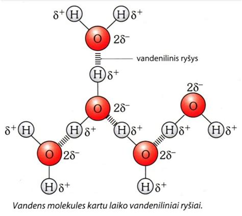 schematinis monoetylenglikolio molekulės pavaizdavimas