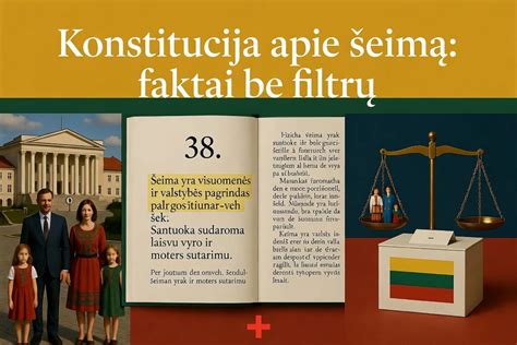 Infografika apie transmisijos filtrų funkcijas ir skysčių sąveiką