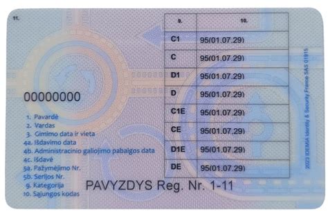 Teminis paveikslėlis: 95 kodo ženklinimas vairuotojo pažymėjime