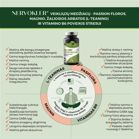 infografika: antihistamininių vaistų kartos ir jų poveikis centrinei nervų sistemai bei vairavimo saugumui
