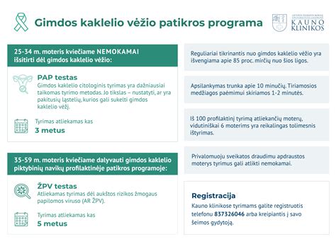 infografika, rodanti kondicionieriaus profilaktinės patikros etapus ir filtrų keitimo svarbą