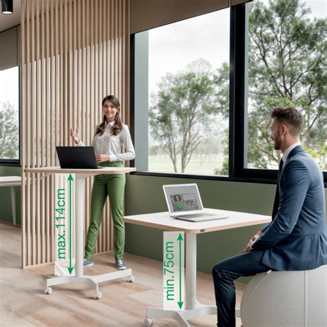 Sėdėjimo ir stovėjimo ergonomikos gairės (iliustracija)