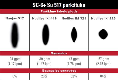 Purkštuko patikros schema