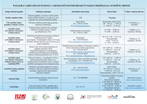 Infografika, iliustruojanti techninės pagalbos paslaugų tipus