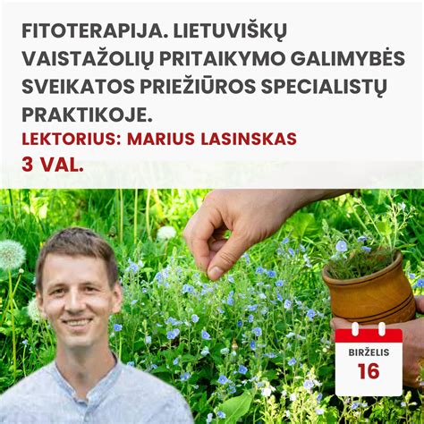 Infografika: pritaikymo galimybės ir dydžiai