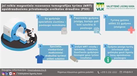 Infografika: magnetinio kompaso priežiūros ciklas ir testavimo žingsniai