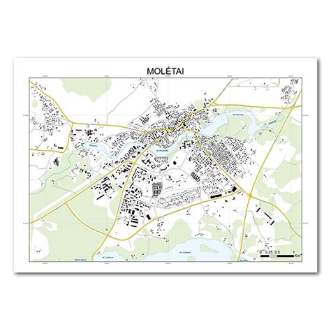Molėtų miesto žemėlapis su automobilių stovėjimo aikštelių žymėmis