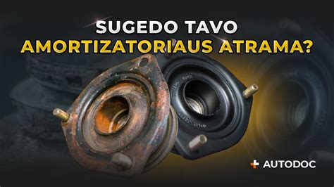 Amortizatoriaus ir jo atramos scheminis pjūvis