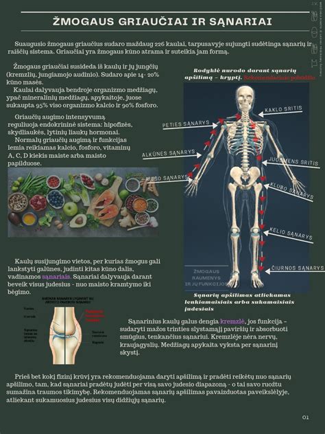 Infografika: Paskirstymo mechanizmo dalys ir jų funkcijos