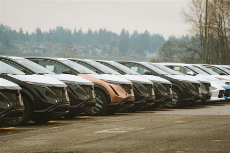 Tematinis foto apleistų automobilių miške, apaugusių samanomis