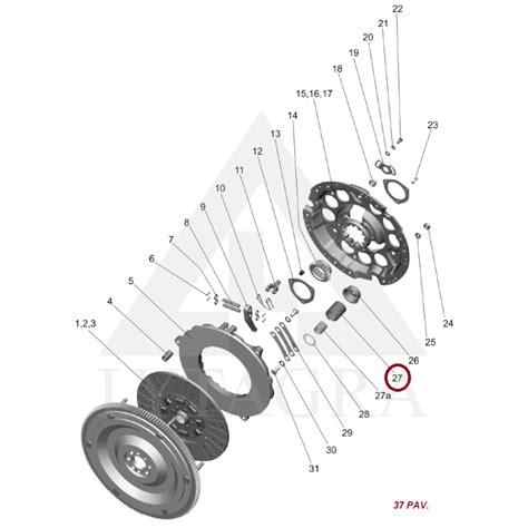 Sankabos krepšelio (diskatoriaus) su diafragmine spyruokle diagrama