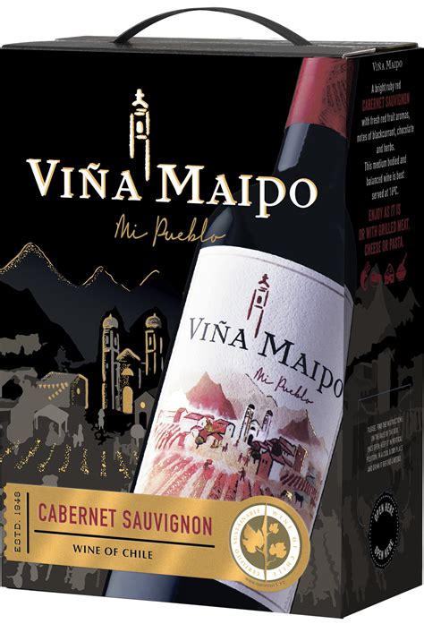 Tematinė nuotrauka su Vina Maipo vynine ir Maipo slėniu