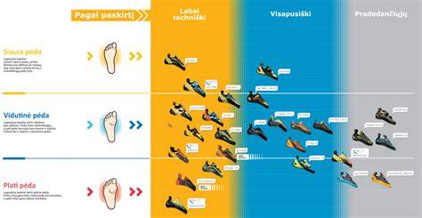 Infografika: DACO amortizatorių asortimento palyginimas pagal tipą ir paskirtį
